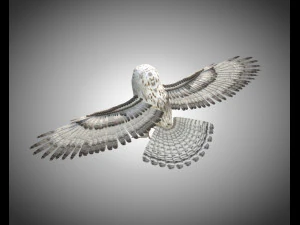 gufo uccello pbr truccato low poly Modello 3D