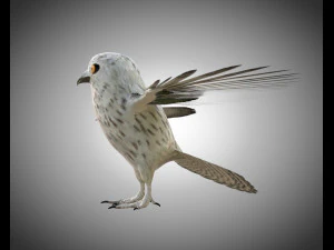 gufo uccello pbr truccato low poly Modello 3D