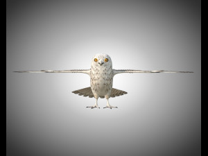 owl bird pbr rigged low poly Modello 3D