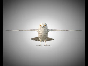 gufo uccello pbr truccato low poly Modello 3D
