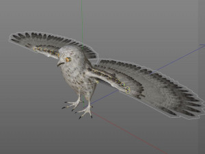 owl bird pbr rigged low poly Modello 3D