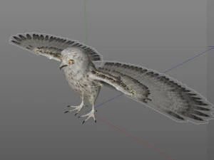 gufo uccello pbr truccato low poly Modello 3D