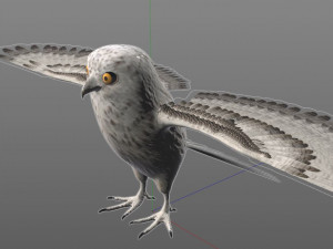 owl bird pbr rigged low poly Modello 3D