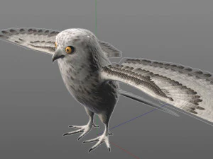 gufo uccello pbr truccato low poly Modello 3D