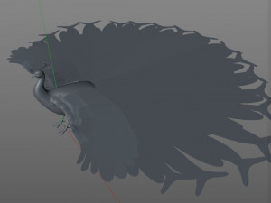 indian peafowl peacock pbr rigged low poly 3D Model