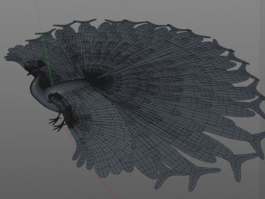 indian peafowl peacock pbr rigged low poly 3D Model
