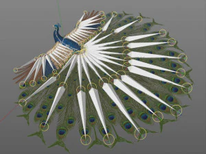indian peafowl peacock pbr rigged low poly 3D Model
