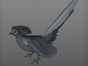 pheasant bird pbr rigged low poly 3D Model