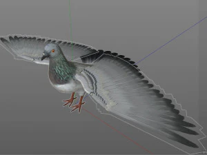 कबूतर पक्षी पीबीआर रिग्ड लो पॉली 3D मॉडल