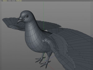 pigeon bird pbr rigged low poly 3D 모델