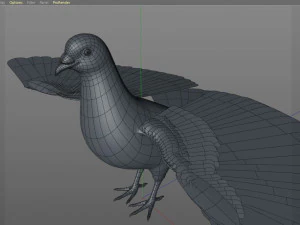 कबूतर पक्षी पीबीआर रिग्ड लो पॉली 3D मॉडल