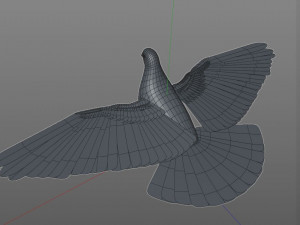 pigeon bird pbr rigged low poly 3D 모델