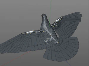 कबूतर पक्षी पीबीआर रिग्ड लो पॉली 3D मॉडल