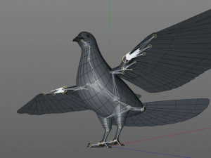 pigeon bird pbr rigged low poly 3D 모델