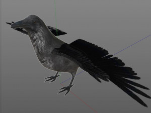 raven crow bird pbr rigged low poly Model 3D