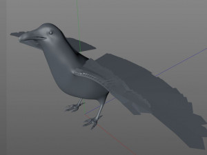 raven crow bird pbr rigged low poly Model 3D