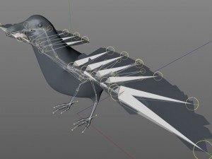 raven crow bird pbr rigged low poly Model 3D