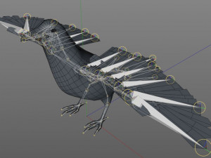 raven crow bird pbr rigged low poly Model 3D