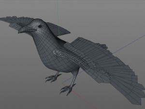 raven crow bird pbr rigged low poly Model 3D