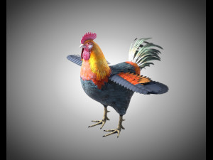 rooster cock bird pbr rigged low poly 3D Model