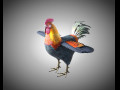 Rooster Cock Bird PBR Rigged Low poly 3D Model