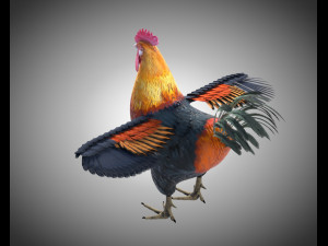 rooster cock bird pbr rigged low poly Modelo 3D
