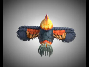 gallo gallo uccello pbr truccato low poly Modello 3D