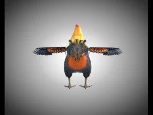 gallo gallo uccello pbr truccato low poly Modello 3D