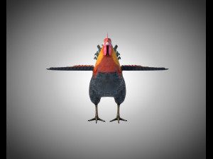 rooster cock bird pbr rigged low poly Modelo 3D