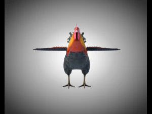 gallo gallo uccello pbr truccato low poly Modello 3D