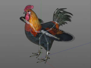 gallo gallo uccello pbr truccato low poly Modello 3D