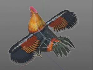 gallo gallo uccello pbr truccato low poly Modello 3D