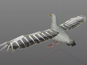 seagull bird pbr rigged low poly 3D Model