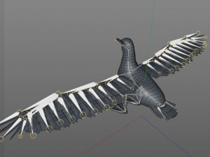 seagull bird pbr rigged low poly 3D Model
