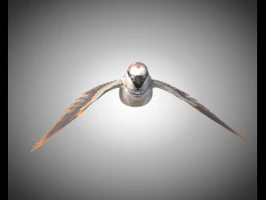 sparrow bird pbr rigged low poly 3D Model