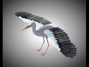 stork bird pbr rigged low poly 3D Model