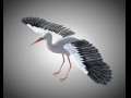 Stork Bird PBR Rigged Low poly 3D Model