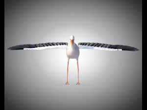 stork bird pbr rigged low poly 3D 模型