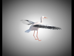 stork bird pbr rigged low poly 3D 模型