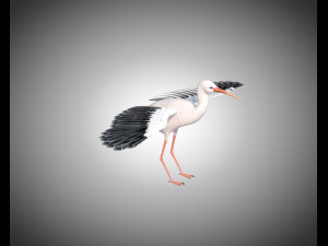 stork bird pbr rigged low poly 3D 模型