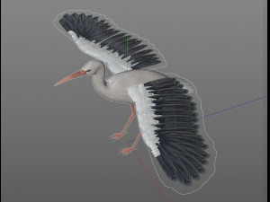 stork bird pbr rigged low poly 3D 模型