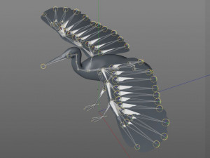 stork bird pbr rigged low poly 3D 模型