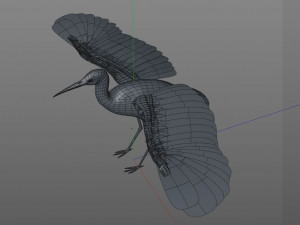 stork bird pbr rigged low poly 3D 模型