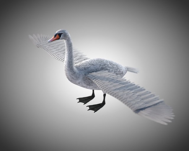 swan bird pbr rigged low poly 3D Model .c4d .max .obj .3ds .fbx .stl .blend 
