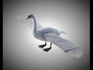 swan bird pbr rigged low poly 3D Model