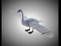 Swan Bird PBR Rigged Low poly 3D Model