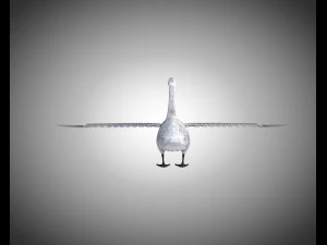 swan bird pbr rigged low poly 3D Model
