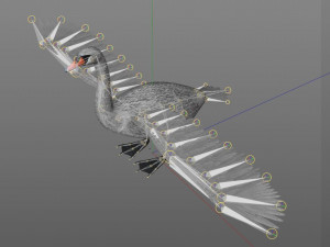 swan bird pbr rigged low poly 3D Model