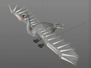 swan bird pbr rigged low poly 3D Model