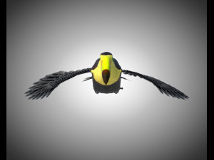 toucan bird pbr rigged low poly 3D 모델